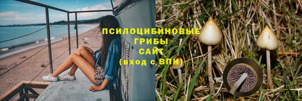 прущий лед Белокуриха